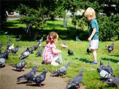 夢見戴重孝 夢見在戴孝