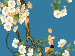 2023年屬兔出生好嗎