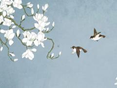 2033屬牛五行什么命,2033年什么命