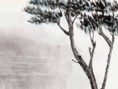 1999年屬兔是木命還是土命,1999年屬兔是什么命金木水火土