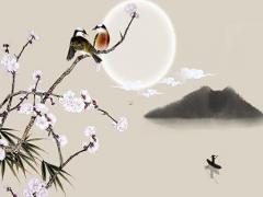 2023年兔子命運如何樣