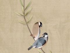 屬馬女2023年全年運勢