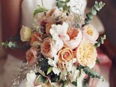 論星座理論的科學(xué)性