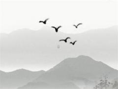 1976年屬龍和1983屬豬,1976龍的與83年屬豬的給合財