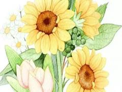 2023屬兔幾日出生好