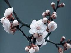 2023年11月21日黃歷,黃歷日歷2023年