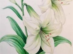 屬鼠婚配屬雞怎樣,屬鼠人跟屬雞人婚配