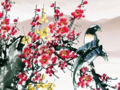 1996年的屬鼠人婚配,1996年屬鼠的配偶