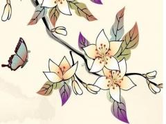 屬猴的女人最好命 屬猴的女人命運好不好