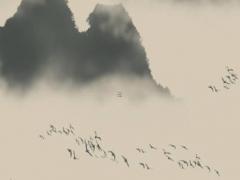 63年屬兔今年多少歲了,63年屬兔的今年幾歲了