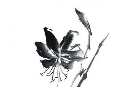 屬蛇的適合佩戴龍飾品嗎,屬蛇的人帶龍的飾品好嗎