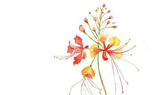 含義詳細解析姓名學數理6 姓名學65數理解釋大全 含義詳細解析姓名學數理6 姓名學65數理解釋大全