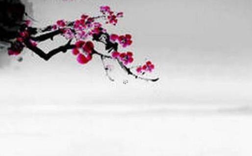 八字命盤中的地勢是什么意思 八字排盤地勢 八字命盤中的地勢是什么意思 八字排盤地勢