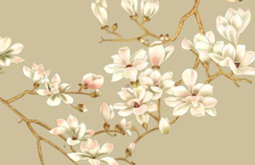 什么八字身體長得高 什么八字的人身材好 什么八字身體長得高 什么八字的人身材好