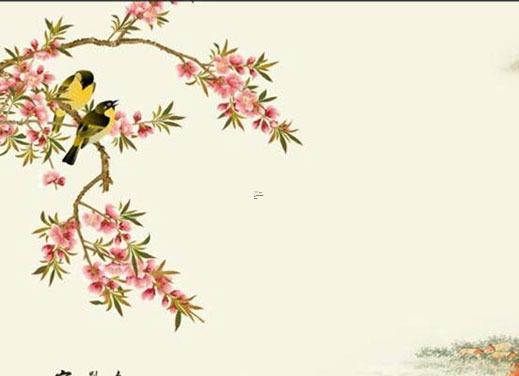 看看什么樣的八字是學霸 八字 學霸 看看什么樣的八字是學霸 八字 學霸