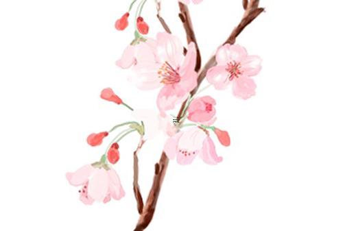 腳只能呈外八字下蹲是什么原因 一只腳外八字怎么矯正 腳只能呈外八字下蹲是什么原因 一只腳外八字怎么矯正