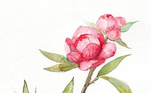 2020年12月5日出生的寶寶起名提示 2020年陽歷12月5日出生的鼠寶寶命運 2020年12月5日出生的寶寶起名提示 2020年陽歷12月5日出生的鼠寶寶命運