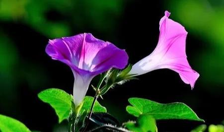 夢見末日地震 夢見末日地震預示著啥