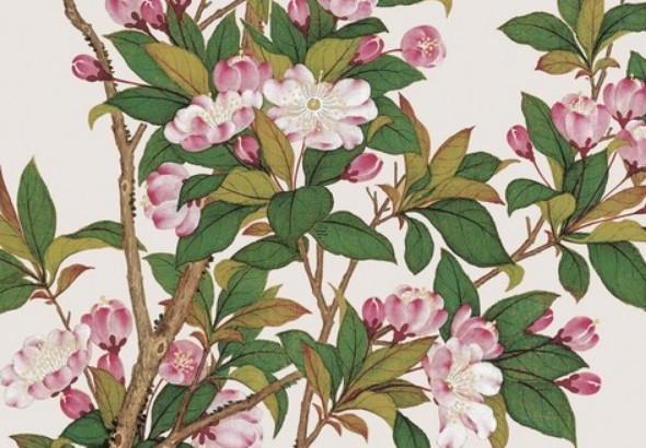 八字空氣劉海配什么顏色 八字空氣劉海配什么顏色頭發好看 八字空氣劉海配什么顏色 八字空氣劉海配什么顏色頭發好看