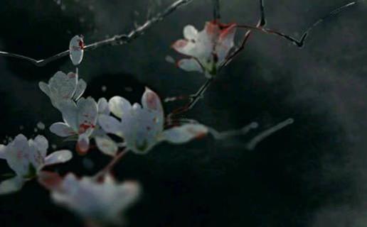 男孩帶有聰明寓意的名字用什么方法起 男孩名代表聰明字有哪些 男孩帶有聰明寓意的名字用什么方法起 男孩名代表聰明字有哪些