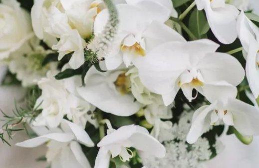 騰訊 星座頻道 痣