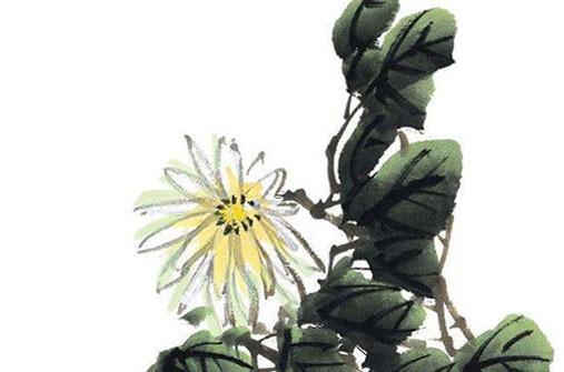 屬龍和屬虎合不合 屬龍的屬虎的合不合