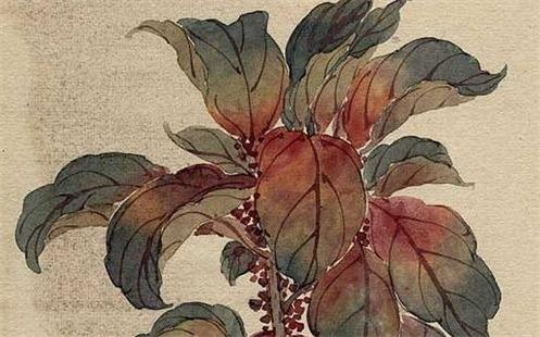 明年屬馬的犯太歲嗎,明年屬馬的人怎么樣 明年屬馬的犯太歲嗎,明年屬馬的人怎么樣