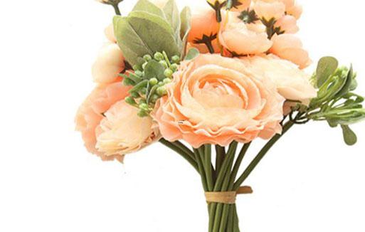 對感情最專一的星座