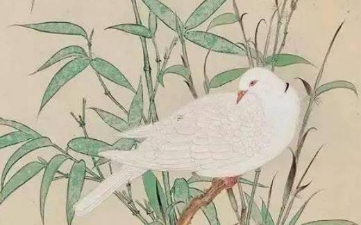 鹿晗八字是什么意思 鹿晗的八字命理 鹿晗八字是什么意思 鹿晗的八字命理