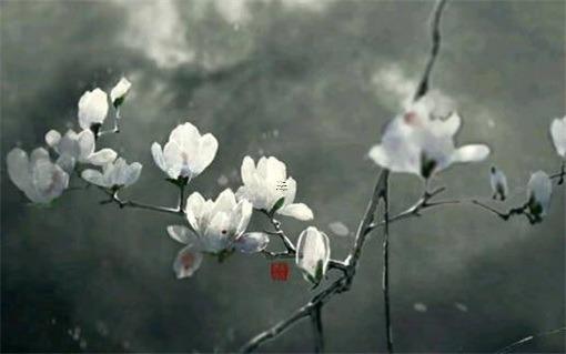 農(nóng)歷16日是什么日八字 農(nóng)歷16日是什么屬相日 農(nóng)歷16日是什么日八字 農(nóng)歷16日是什么屬相日