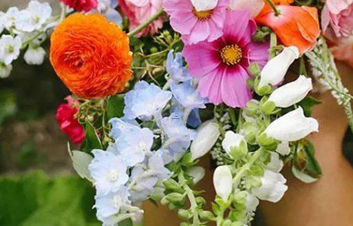 十二星座成為中心人物的可能性 十二星座成為中心人物的可能性