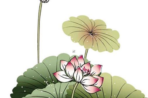 姓名測試婚姻配對打分免費 姓名測婚姻免費測試