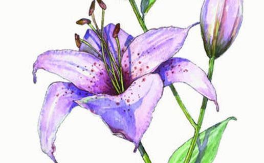 如何給酒業公司起名 如何給酒業公司起名 如何給酒業公司起名 如何給酒業公司起名