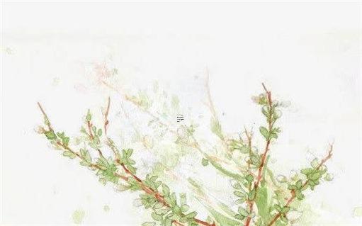 屬兔的適合穿什么色衣服,屬兔的人穿什么顏色的衣服最好 屬兔的適合穿什么色衣服,屬兔的人穿什么顏色的衣服最好