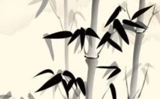 屬鼠屬馬的人合作咋樣，屬鼠和屬馬的合伙做生意合不合財？