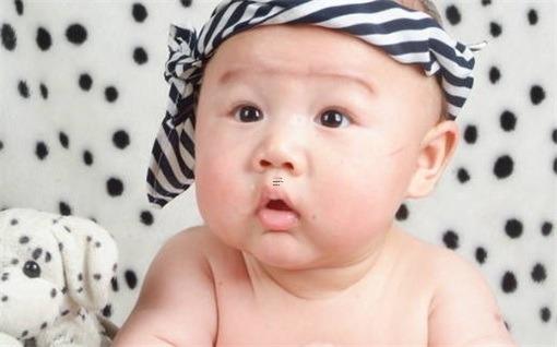 游戲的寵物名字好聽 游戲的寵物名字大全 游戲的寵物名字好聽 游戲的寵物名字大全