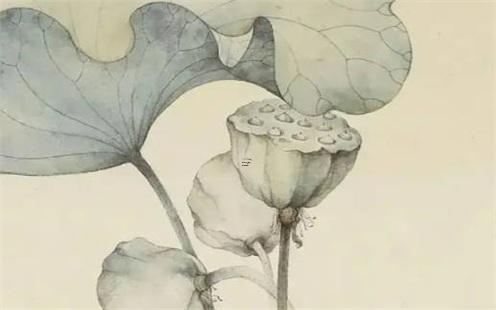 還有生辰八字是什么 真有生辰八字一說嗎 還有生辰八字是什么 真有生辰八字一說嗎