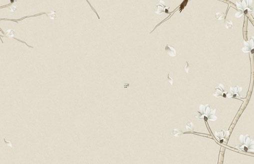 十二生肖屬龍的是哪年，十二生肖龍哪一年