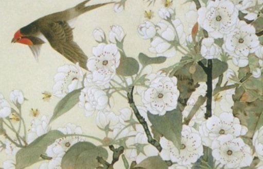 家里擺放什么綠植轉運 家里擺什么綠植招財 家里擺放什么綠植轉運 家里擺什么綠植招財