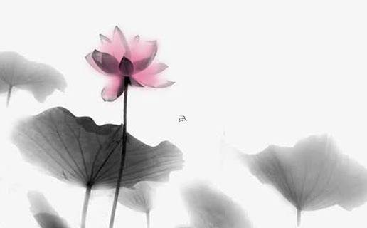 牛年寶寶起名大全女 牛年寶寶取名大全2021款女 牛年寶寶起名大全女 牛年寶寶取名大全2021款女