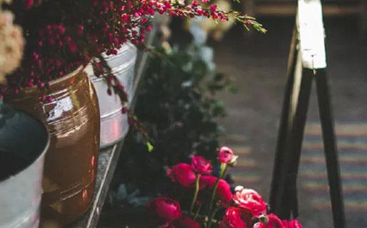 哪星座女 顏控 哪星座女 顏控