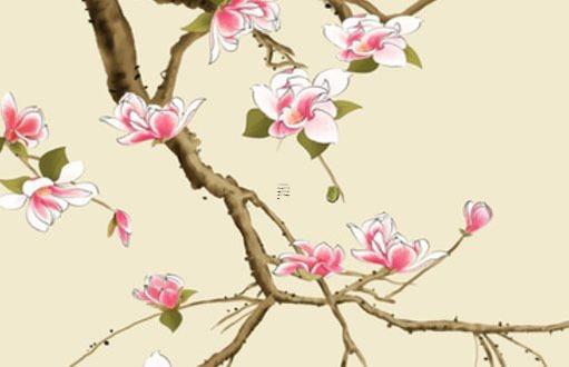 2009年屬牛在2023年的運勢,2009年屬牛2023年的運勢及運程 2009年屬牛在2023年的運勢,2009年屬牛2023年的運勢及運程