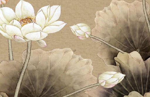 雞年龍的運(yùn)勢(shì)及運(yùn)程 生肖雞龍年運(yùn)勢(shì) 雞年龍的運(yùn)勢(shì)及運(yùn)程 生肖雞龍年運(yùn)勢(shì)