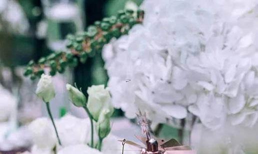 誰么星座最愛笑 誰么星座最愛笑