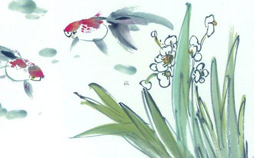 美短加白八字臉是什么 美短加白多大才看到八字眉 美短加白八字臉是什么 美短加白多大才看到八字眉