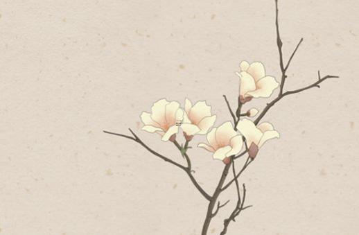 八字中胞胎是什么意思 八字胞胎的正確看法 八字中胞胎是什么意思 八字胞胎的正確看法