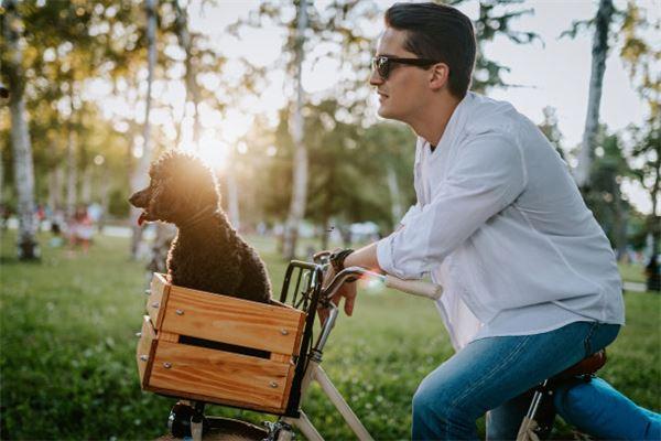 事業不順的人手相圖 事業不順的人手相圖