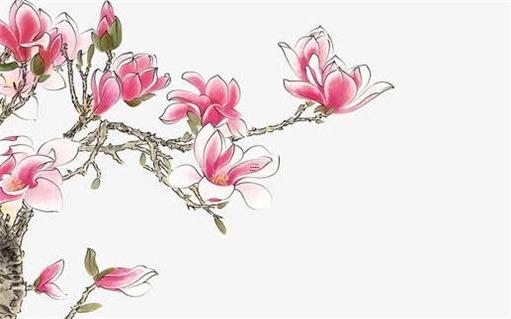 合生辰八字算姻緣免費 測生辰八字合婚 合生辰八字算姻緣免費 測生辰八字合婚