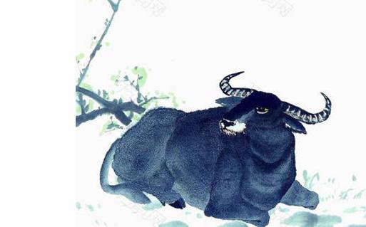 2023屬猴的人運氣怎么樣呢 2023屬猴的人運氣怎么樣呢