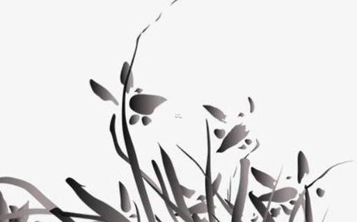 2023年滿50屬什么 2023年滿50屬什么